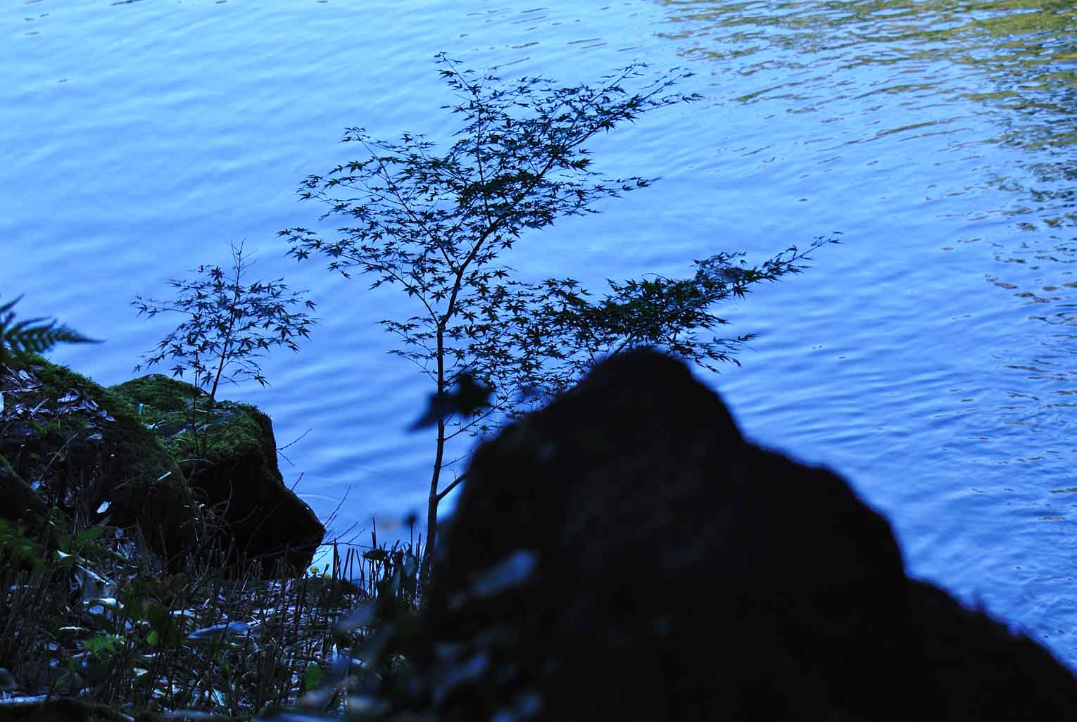 b0204383_8222586.jpg