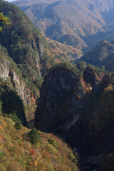 紅葉・・・日光～霧降高原～旧栗山村　＜１＞　2010年11月6日_e0143883_21385675.jpg