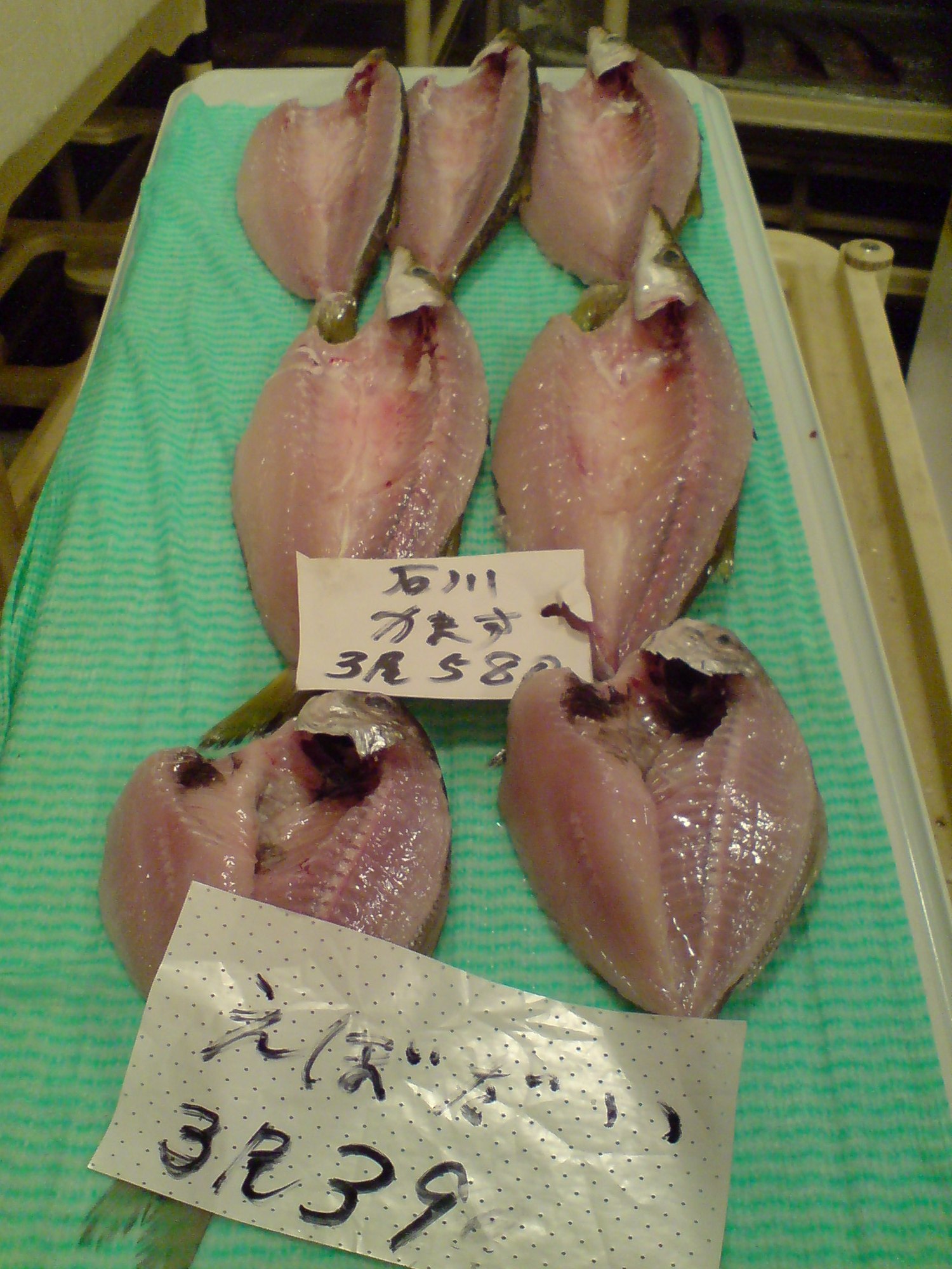 11/7(日)の昭島魚河岸_f0125585_22163139.jpg