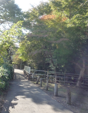c0204088_2255229.jpg