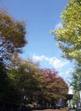 c0204088_2281756.jpg