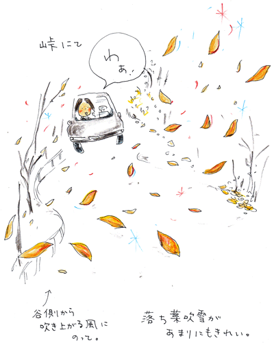 f0236291_962270.gif