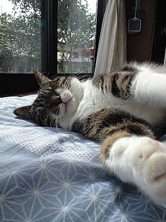 c0035001_2242080.jpg