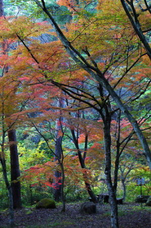 御岳昇仙峡・・・山梨県甲府市_b0066502_17171335.jpg