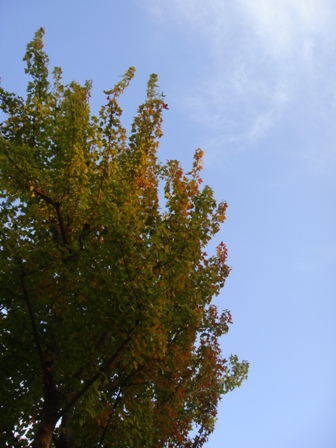a0167803_2314115.jpg