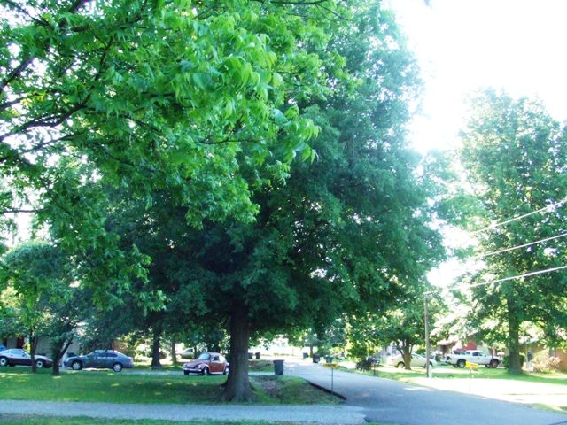 c0062603_1325615.jpg