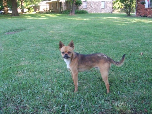c0062603_13271.jpg