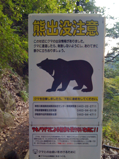 c0112103_19111323.jpg