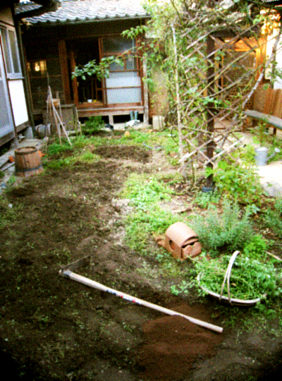 d0077603_736251.jpg