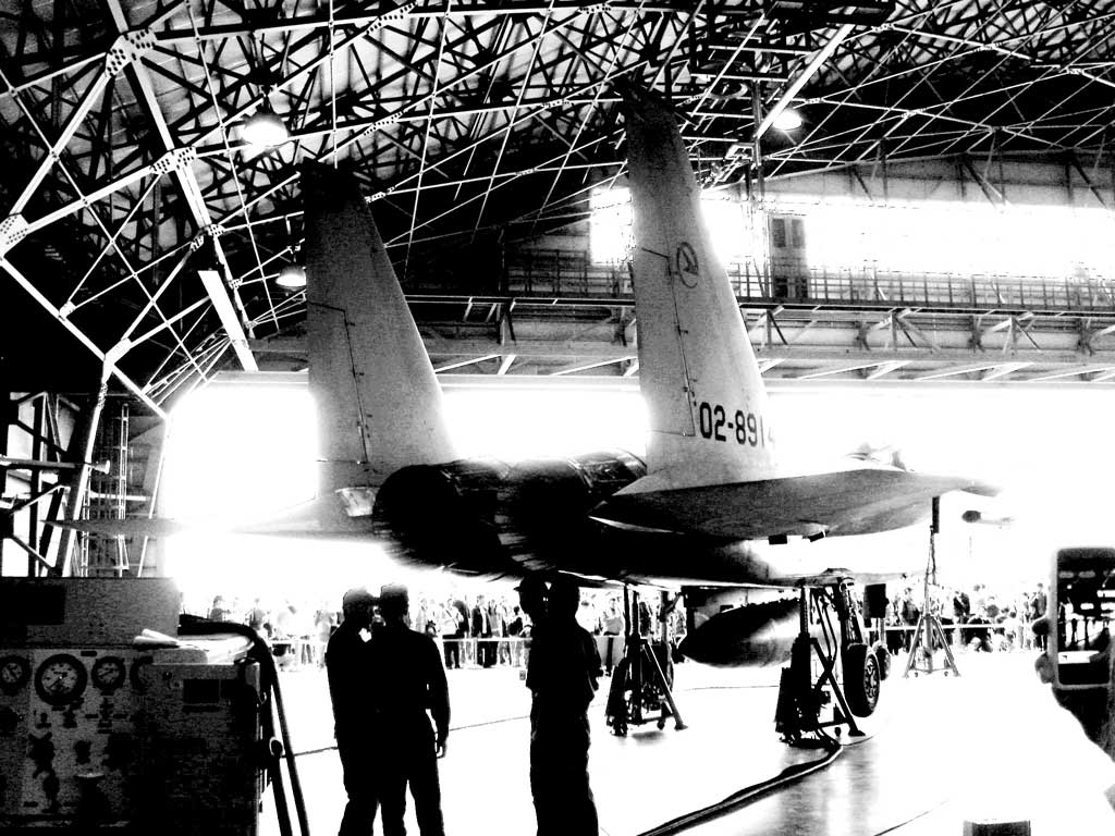 f0008005_21322240.jpg