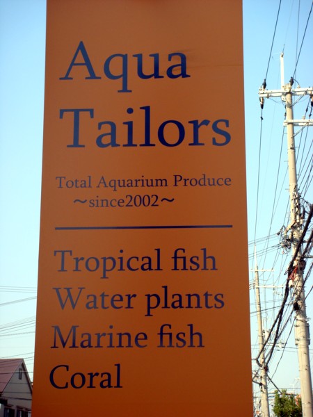 f0215410_0521543.jpg