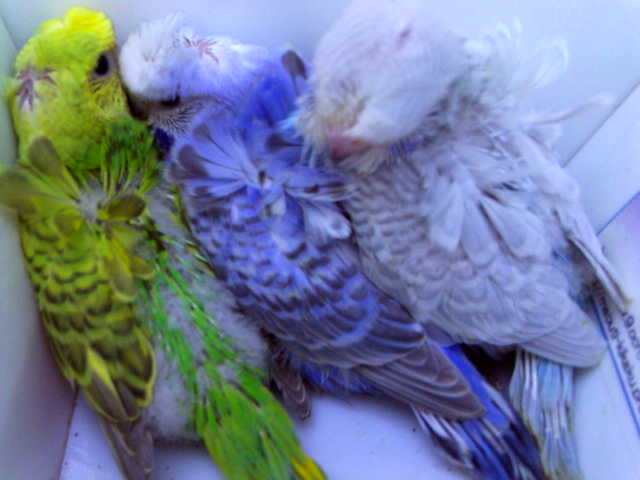 c0194711_18321652.jpg