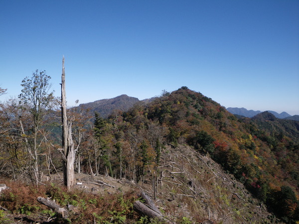 d0006512_11422589.jpg