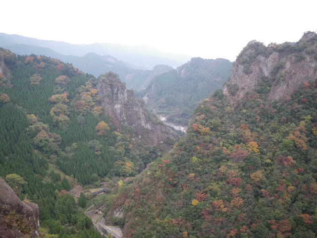d0006512_1154432.jpg