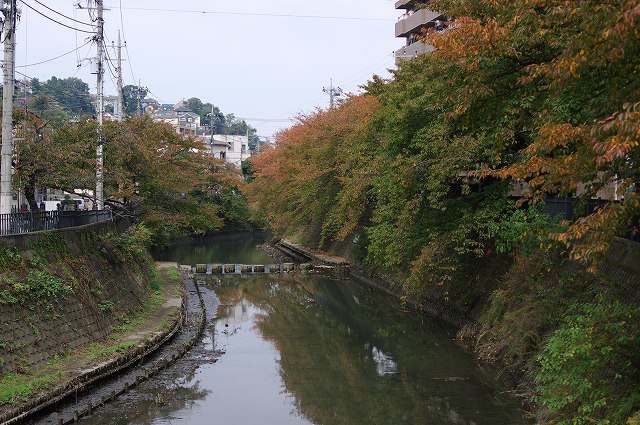 c0216518_20291752.jpg