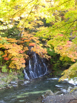 b0147224_0112749.jpg