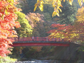 b0147224_053859.jpg