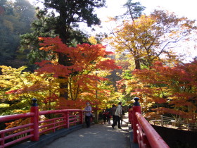 b0147224_055645.jpg