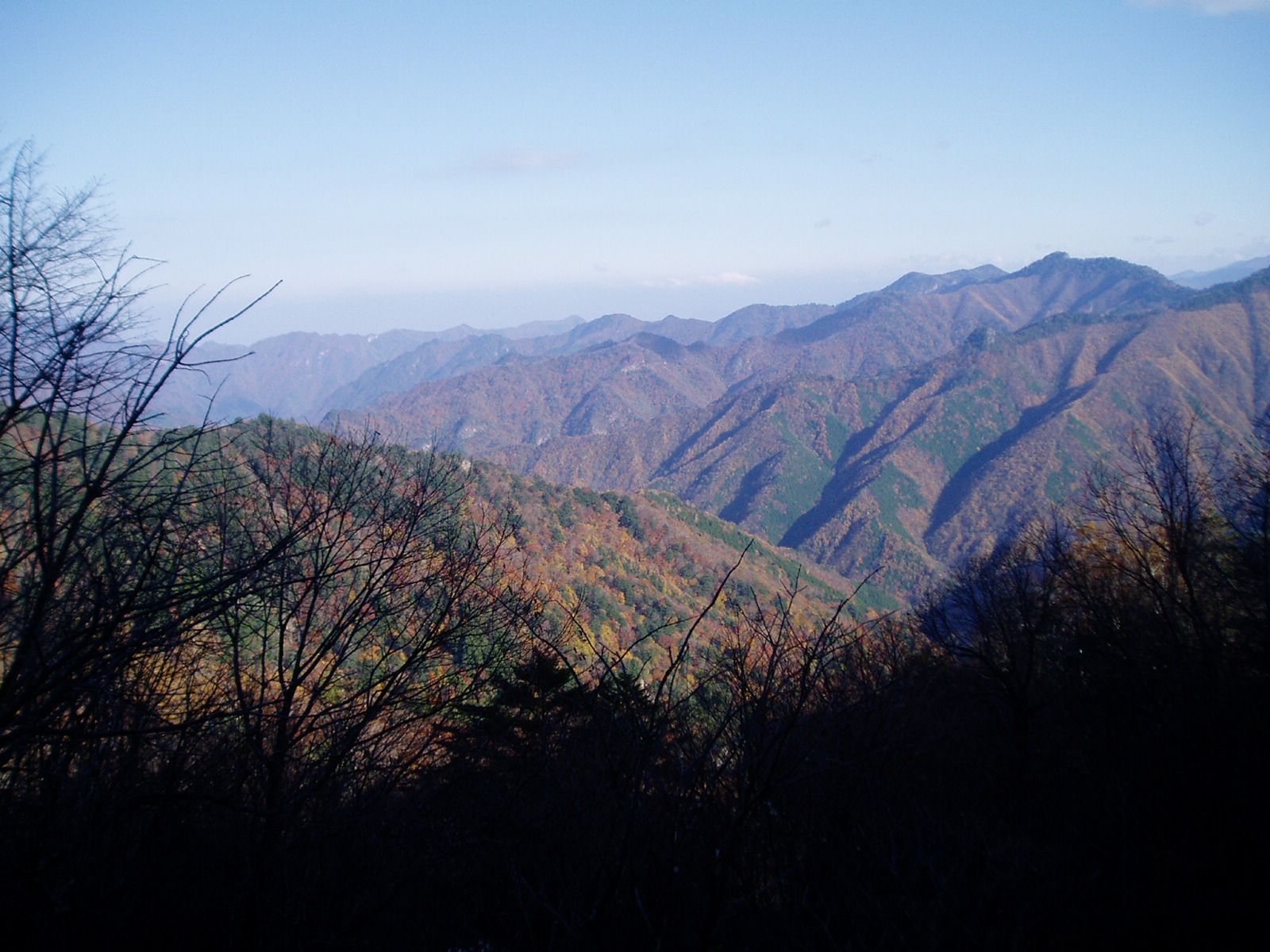 中津川林道_c0211226_5542361.jpg