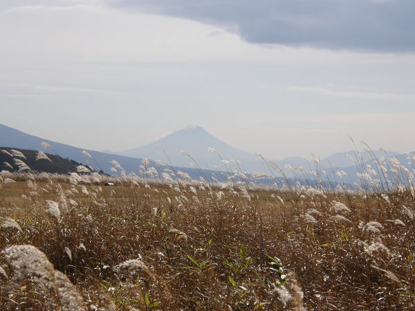 犬旅　Ｐａｒｔ２　霧ヶ峰、八ヶ岳＆清里♪_e0204927_20555064.jpg