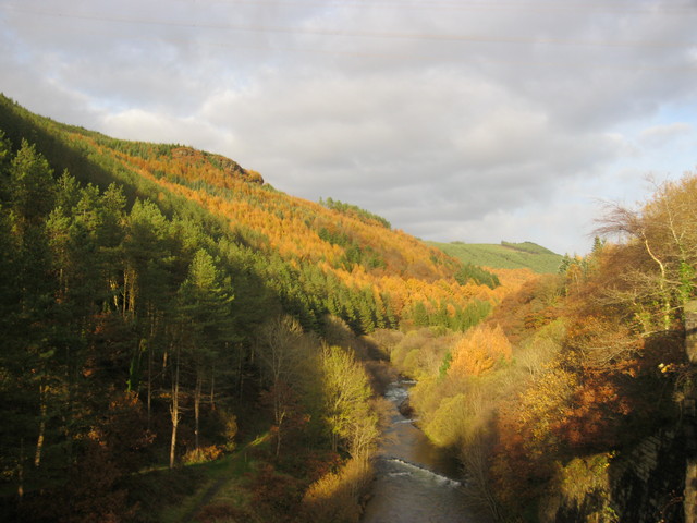 d0145528_2322114.jpg