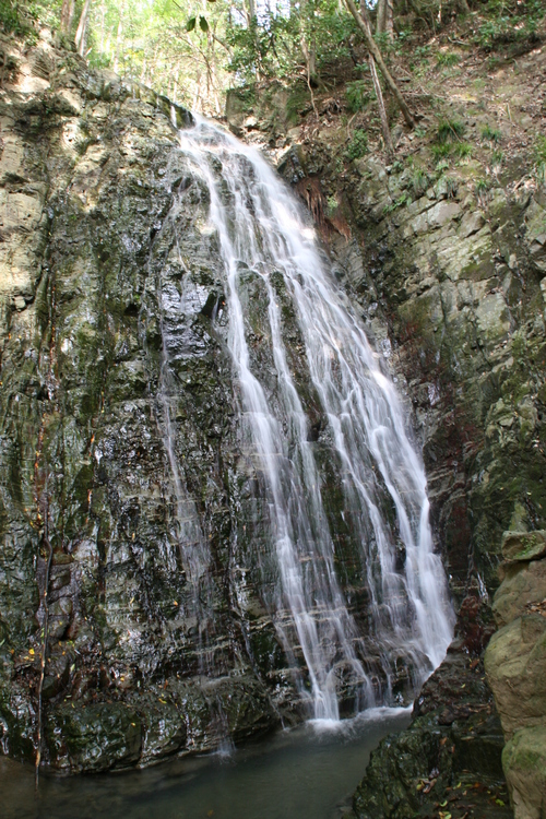 立冬の日・掛川市・菊水の滝・松葉の滝_e0033229_21351056.jpg