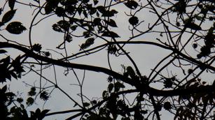 f0044029_2010248.jpg