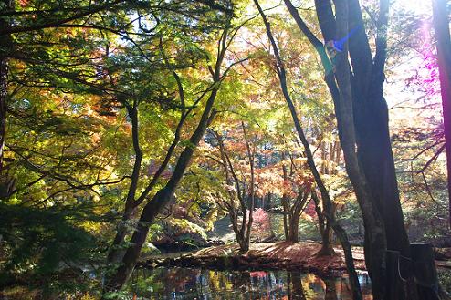 紅葉狩りに軽井沢へ♪2_f0152029_22554728.jpg