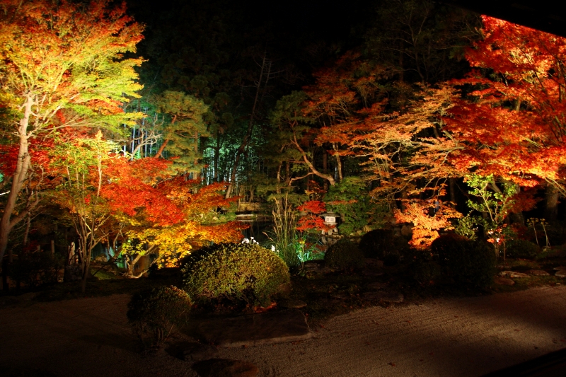 紅葉ライトアップ －南禅寺塔頭・天授庵－_b0169330_2143538.jpg