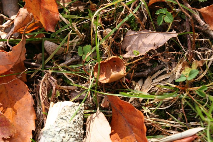 a0087133_2242254.jpg