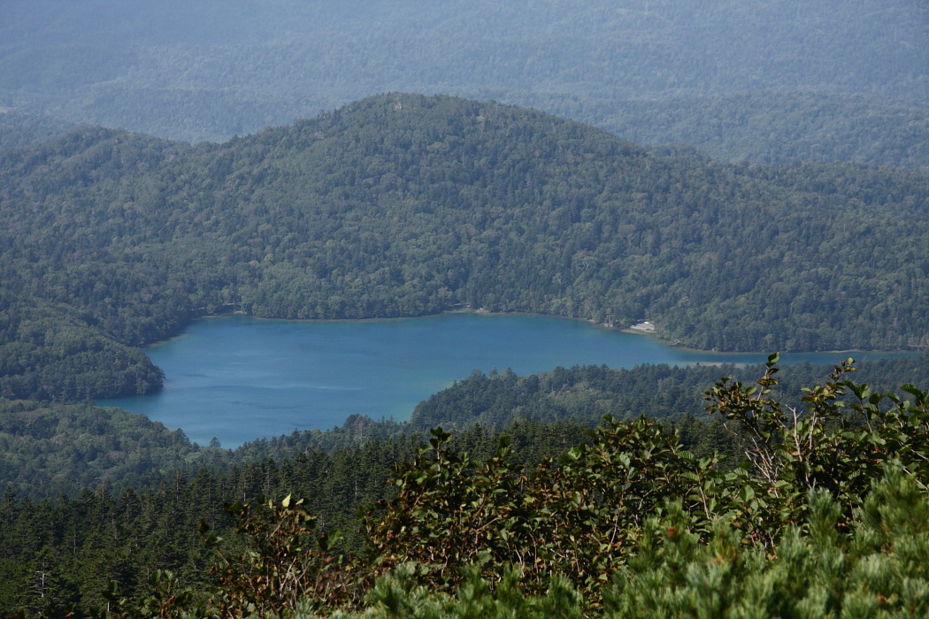 雌阿寒岳登山～前編～_c0150833_1137219.jpg