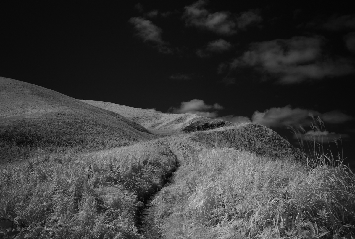 e0006135_2236467.jpg
