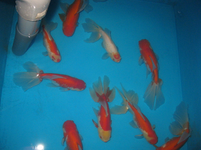 f0214235_11264023.jpg