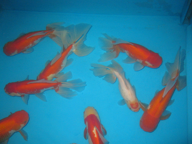f0214235_11264692.jpg