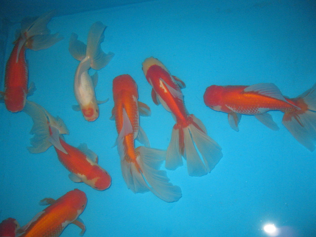 f0214235_11265388.jpg