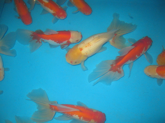 f0214235_1127392.jpg