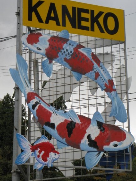 f0214235_1854460.jpg
