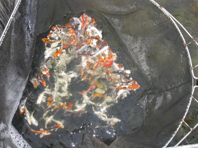f0214235_21171394.jpg