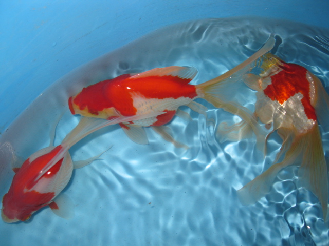f0214235_21422013.jpg