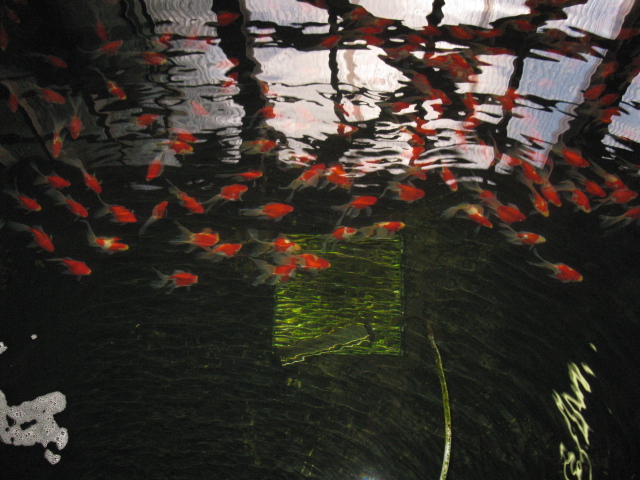 f0214235_2142580.jpg