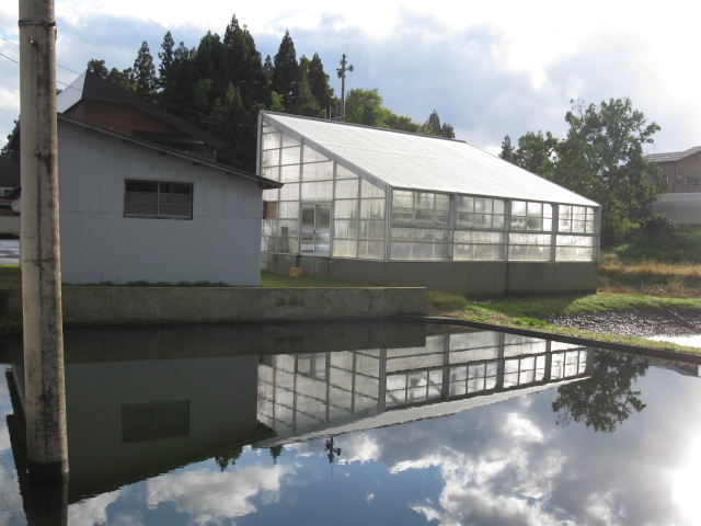 f0214235_2193973.jpg
