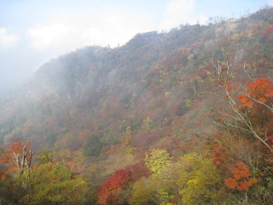 c0077338_22211036.jpg