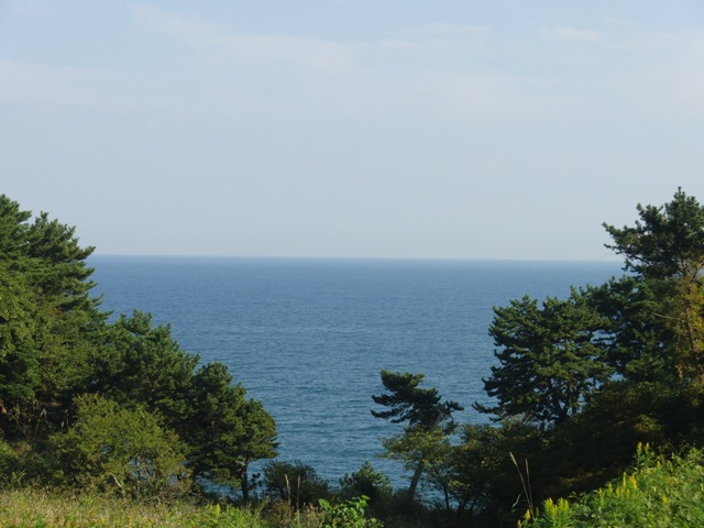e0026541_2143284.jpg