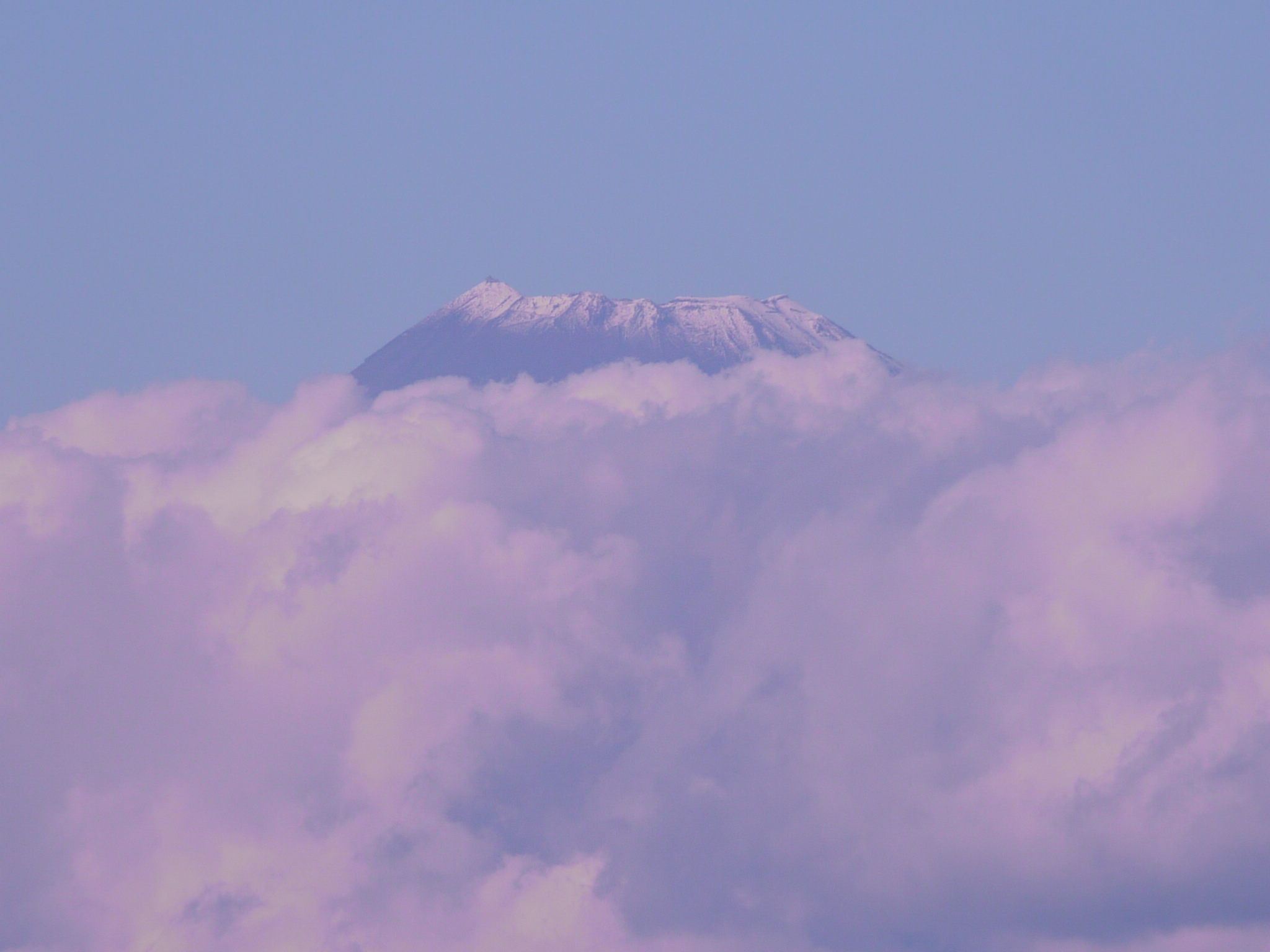 b0190242_19214432.jpg