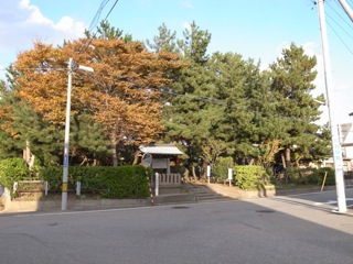 やはり最先端の理容室_d0057843_23255133.jpg
