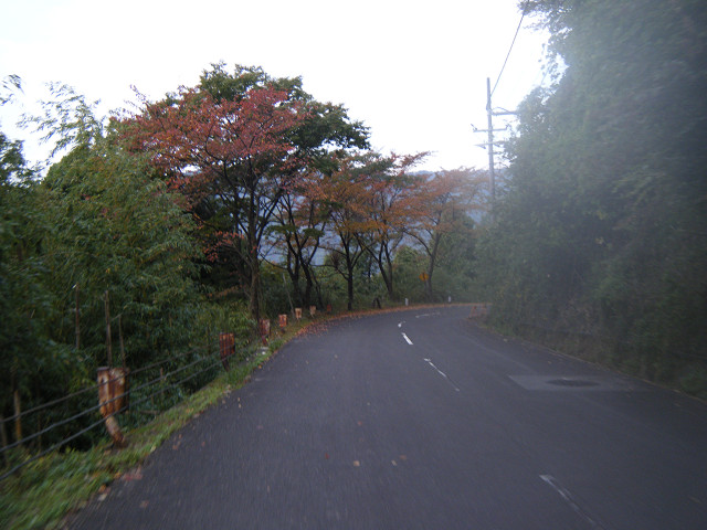 b0088444_21545947.jpg