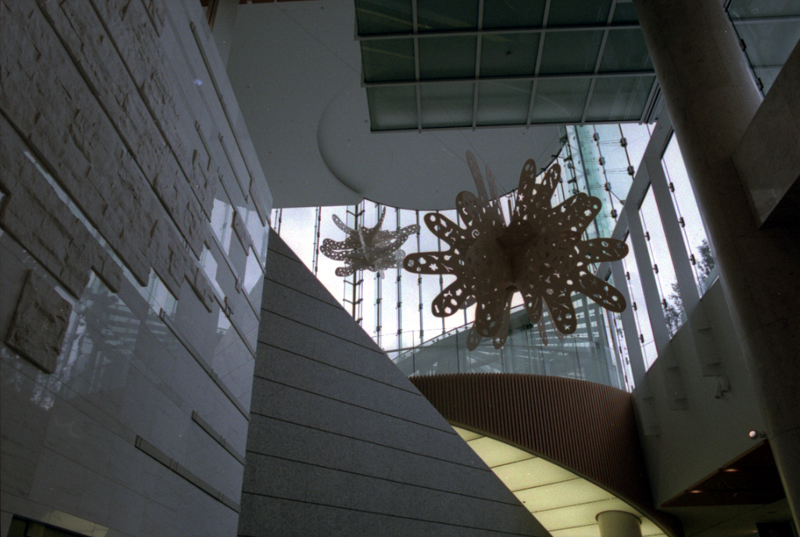 d0074844_23595826.jpg