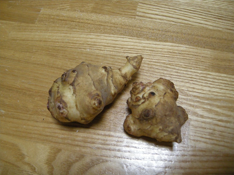 これがいも?_f0203844_10192470.jpg