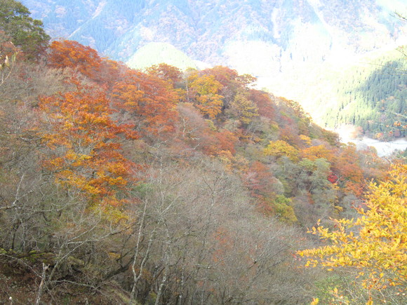 d0192045_20124076.jpg