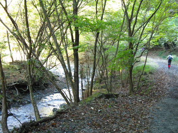 d0192045_2032569.jpg